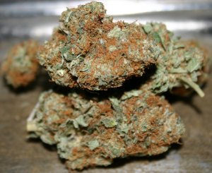blue haze